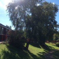 Gillibrand Silver Birch Class (@gpssilverbirch) 's Twitter Profile