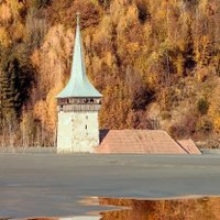 ProteCHt2save (@ht2save) 's Twitter Profile