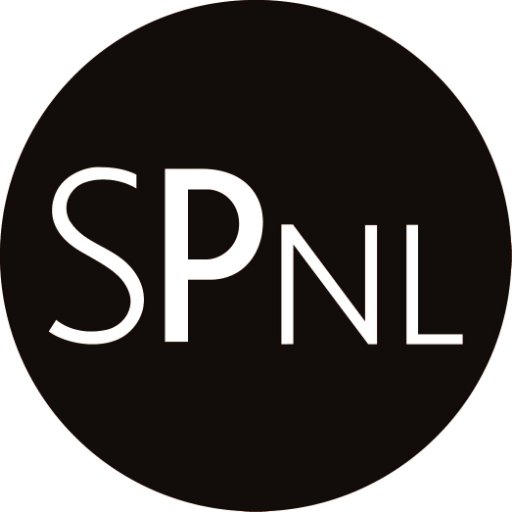 Director Strategic Proposals NL, APMP Fellow and holding Professional accreditation. Regular key-note speaker with a passion for Proposals.