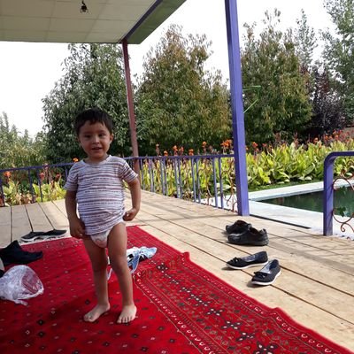 Jamshid64875706's profile picture. 