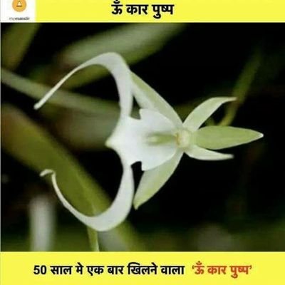 drysingh01's profile picture. https://t.co/bE5XidZq7p%…