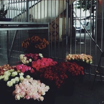 K3_Alharbi's profile picture. 