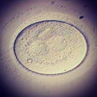 IVF 🇦🇷🇮🇹 (@ivf2003) 's Twitter Profile Photo IVF 🇦🇷🇮🇹 (@ivf2003) 's Twitter Profile Photo