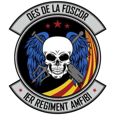 ♠️ 1er Regiment Amfibi | Secció d’Arma de @cavallersdelcel | Allista’t!