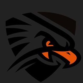 The official twitter account of The University of Texas Permian Basin Student Athlete Advisory Committee #FalconsUp 🤙🏼🦅