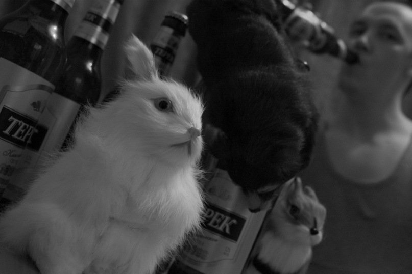 GetCodeXYZ's profile picture. Web