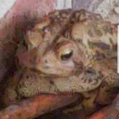 bishop55367501's profile picture. 