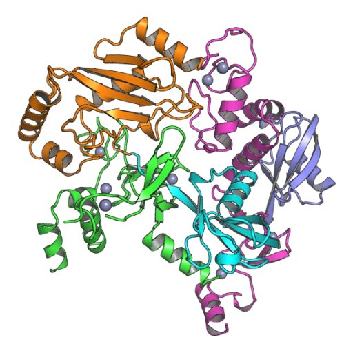 News and updates from the Lechtenberg Lab at WEHI in Melbourne. Interested in Ubiquitin ligases, protein structures, and drug discovery. Views my own.