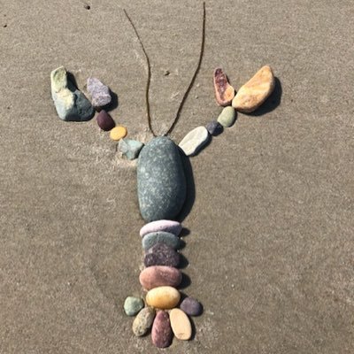 I write. I catch lobster. I made a human once. I walk the dog. And enjoy talking to strangers.