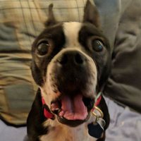 Andrew Scheffler 🎗️ (@schefflerandrew) 's Twitter Profile Photo