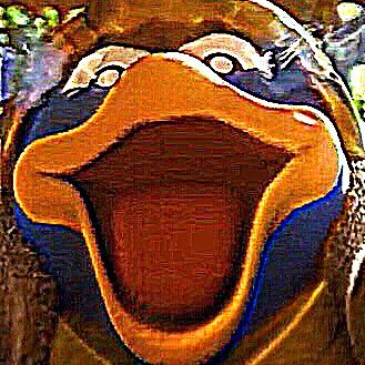 R0Y3L_'s profile picture. :(