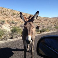 Andy Osborg (@andyosborg) 's Twitter Profile