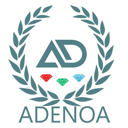 Chef Executive Officer - CEO of ADENOA l.t.d