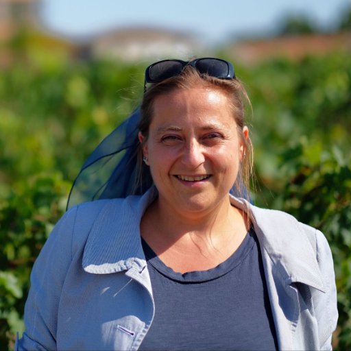Bdx_Cognac_Tour's profile picture. #TourGuide #Bordeaux #CognacTastingTours - #Food #WineTours - tailor-made cultural tours *Histoire & Fun facts * Facebook & Youtube BordeauxCognacTourGuide