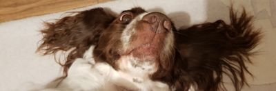 njel13's profile picture. Tuesdays, always Tuesdays