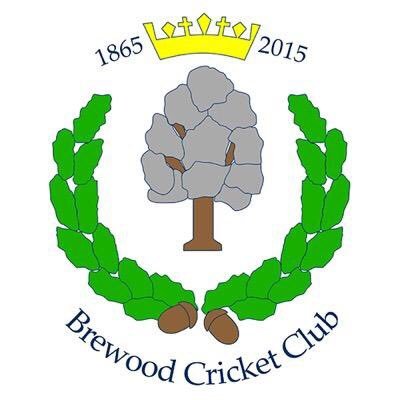 Junior section of Brewood Cricket Club, Staffordshire