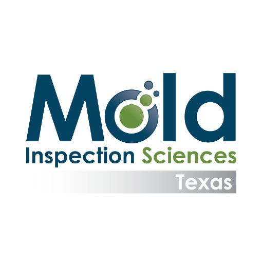 Mold Inspection TX
