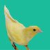 Louise Lappin-Cook (@louisearts) Twitter profile photo Louise Lappin-Cook (@louisearts) Twitter profile photo