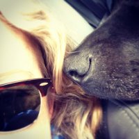 Kristine B Kirkaldy (@kbkirkaldy) Twitter profile photo