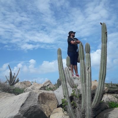 15_scar's profile picture. Ingeniero Sistemas. Seguidor FCF 🇨🇴 y LFC. Practicante inexperto en 🍺 y 🚴. Con ganas de recorrer el 🌎.