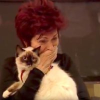 RealityShowJoe (@realityshowjoe1) 's Twitter Profile