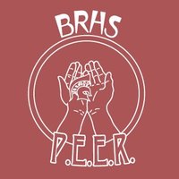 Broad Run PEER(@broadrunpeer) 's Twitter Profile Photo