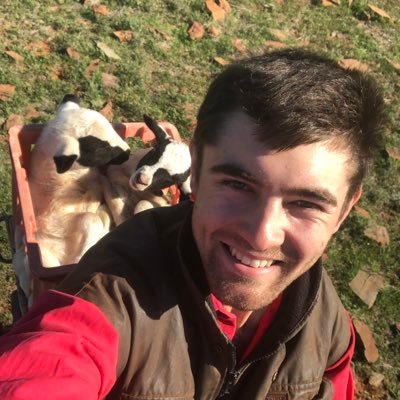 Passionate #agvocate Sheep Overseer, Running a prime lamb feedlot and a few thousand ewes, 2019 Clare Rural Ambassador