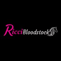 Riccibloodstock(@riccibloodstock) 's Twitter Profile Photo