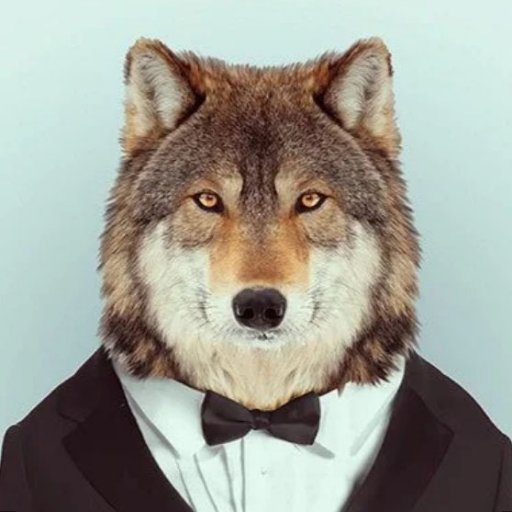 Canadian, Mountain man, Gamer, Content Creator, Twitch Affiliate