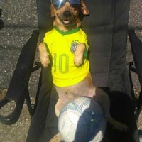 Não é o Neymar (@c_r9_) 's Twitter Profile