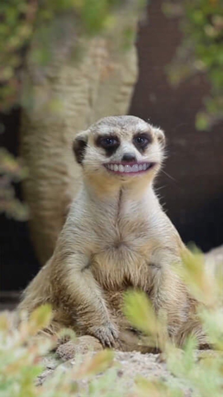 BigErn317's profile picture. 