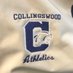 CHS_Athletics (@chsathletics9) Twitter profile photo CHS_Athletics (@chsathletics9) Twitter profile photo