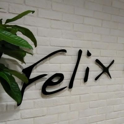 Felix_seisaku Profile Picture