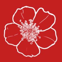 Portland DSA Ecosocialists 🌹(@EcosocialistPDX) 's Twitter Profile Photo