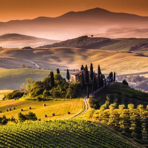 Alfred_Trung's profile picture. 📢