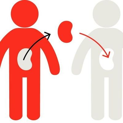 donant_organos's profile picture. Decidido a donar un organo