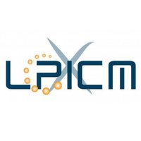 LPICM(@LPICM) 's Twitter Profile Photo