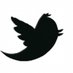chrish (@birdsfl02464872) Twitter profile photo chrish (@birdsfl02464872) Twitter profile photo