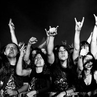 Full Distortion (@fulldistortion_) 's Twitter Profile