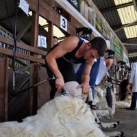 Adam stockdale (@adzzz1992) 's Twitter Profile