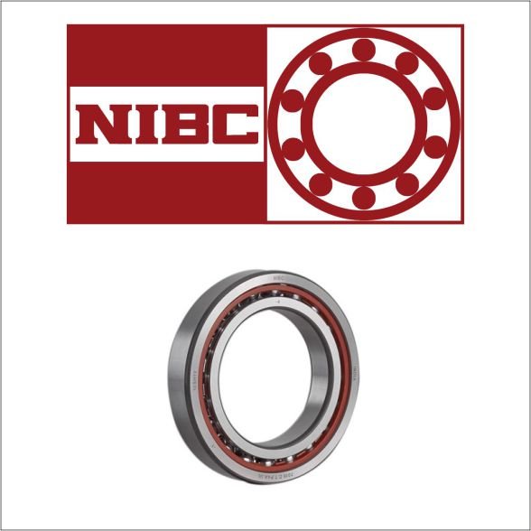 NRB-IBC Bearings Pvt Ltd is the first and only manufacturer of Super Precision Bearings in India.