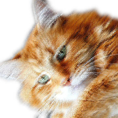 I am a Cat,
I live in a Gallery,
I am generally Awesome.