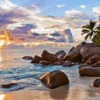 Erick Lang'at (@elangaeco) 's Twitter Profile