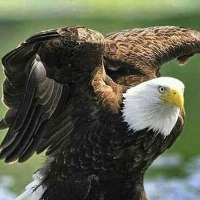 EILz1dFKHeGtcNk's profile picture. طيب  أحب الجمال
