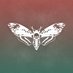 Saviour Management (@saviourmgmt) Twitter profile photo Saviour Management (@saviourmgmt) Twitter profile photo