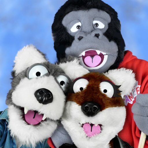 The New Fangles are a super cool 3-piece puppet band, featuring Husky on guitar, Foxy on bass & Ape on drums.