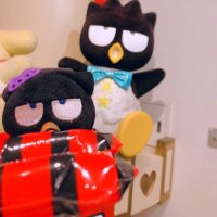 m@取引用 (@mmintt_0505_tr) 's Twitter Profile