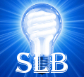 Saving Light Bulbs will save you a small fortune in electricity and help save the environment. That has got to be a good cause!