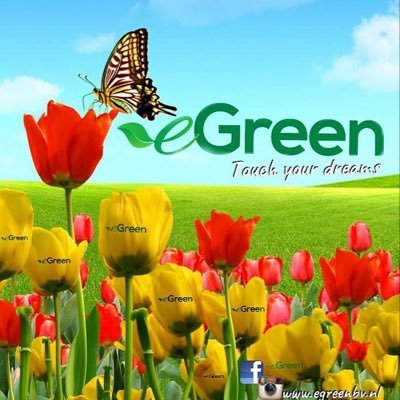 EGreenbv's profile picture. flower Grower , kwekerij van snijbloemen