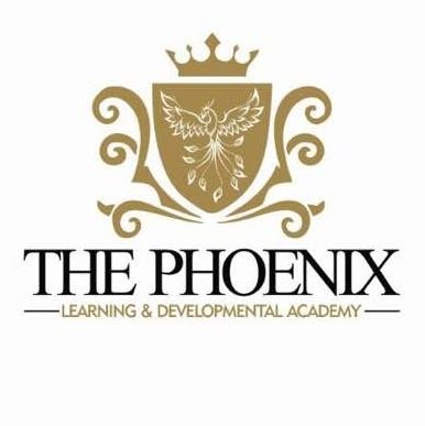 ThePhoenixAcad4's profile picture. The Phoenix Learning and Developmental Academy: A HR Management Consulting firm, focused on L&D, Recruitment, Advisory, Market & Dev Research, & Tech Services.